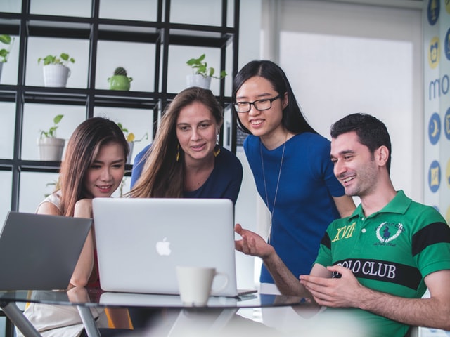 Meet the Team